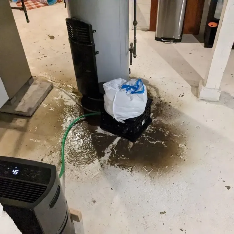 Sewage Backup Cleanup Service in Middlesex County, NJ